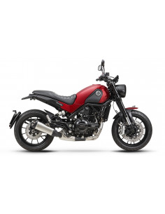 LEONCINO 500